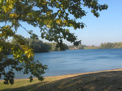Bild vergrößern: Das Foto zeigt das Ufer eines Sees im Sonnenschein. Im Vordergrund sind die ste eines Baumes zu erkennen.